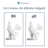 Détails 8K Transparente Forshape Premium - 1Kg