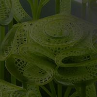 Anycubic Photon P1 layer precision