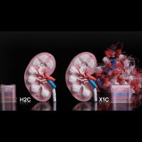 Purge reduction Bambu Lab H2C