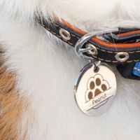 High-resolution engraving and cutting on H2C Combo