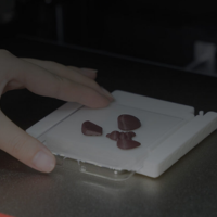 Nivellement automatique Raise3D E3