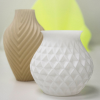 Raise3D Pro2 Plus - 3D printing vase